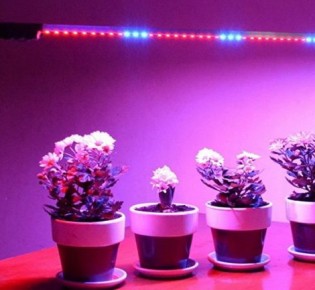 Как самостоятельно сделать освещение комнатных цветов: выбираем вид освещения и лампы, фото примеры